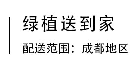 园艺生活馆