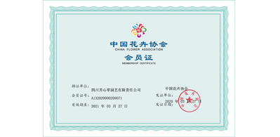 荣誉资质